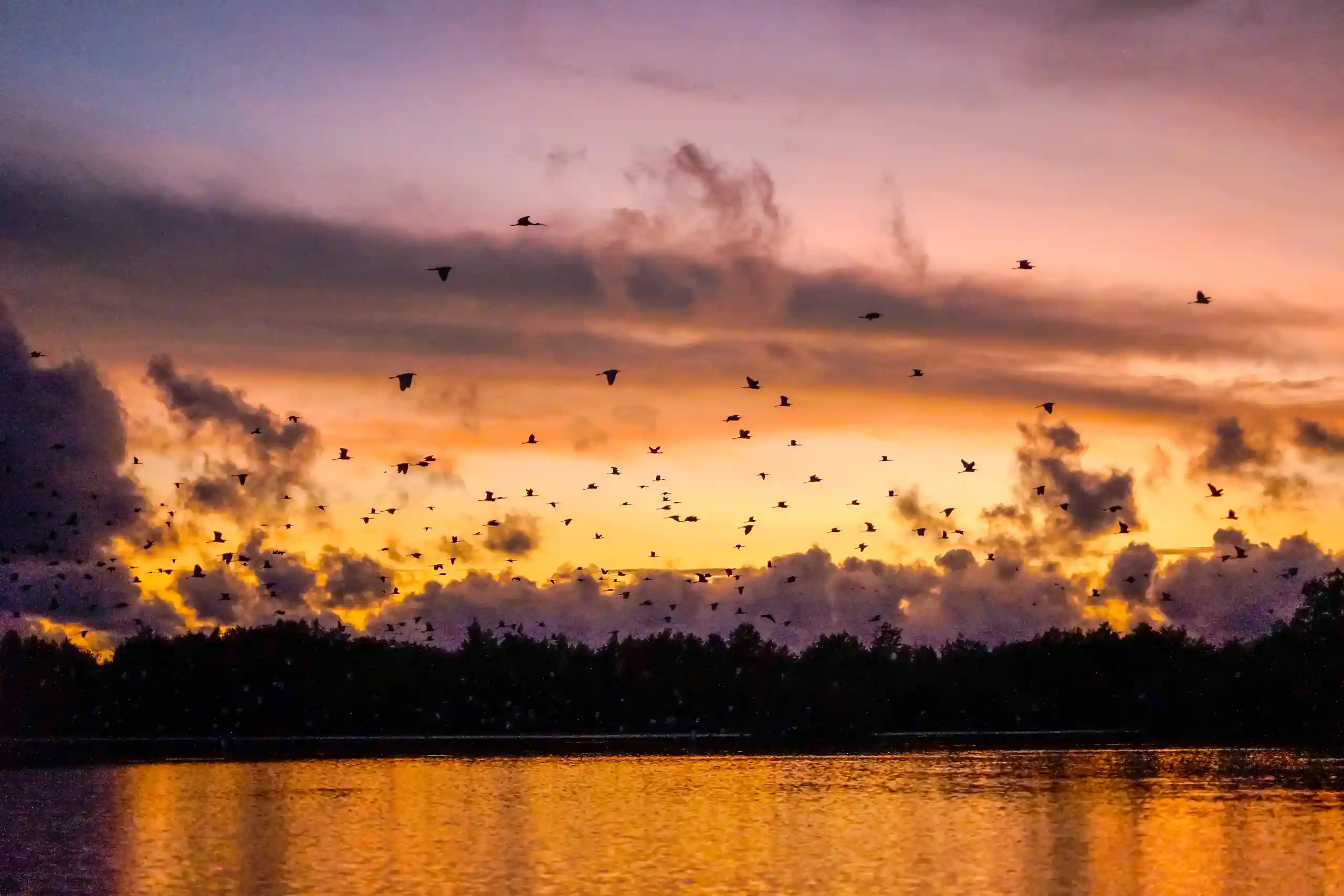 Sunset over the Bigi Pan nature reserve with birds in flight
