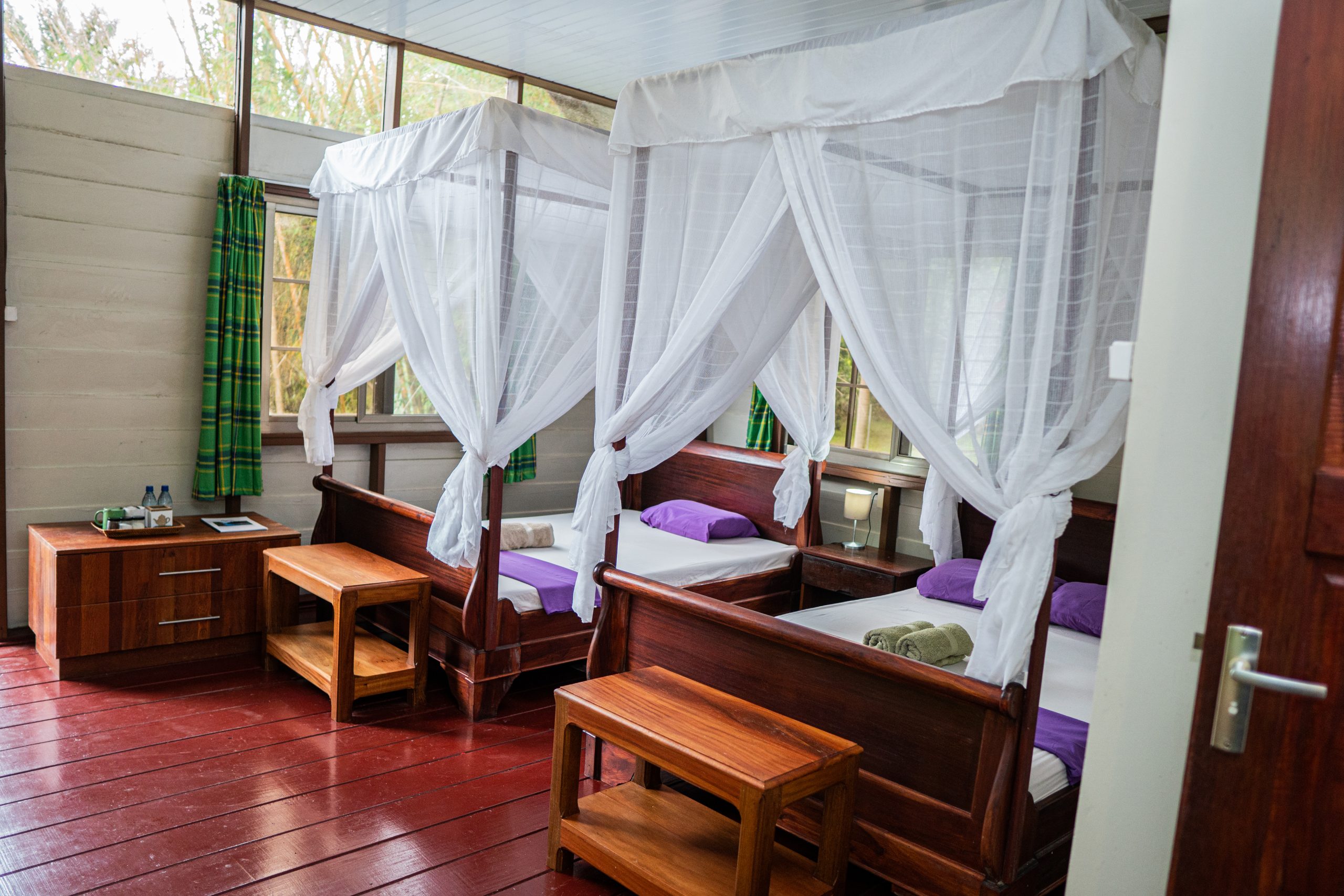 Suriname river landscape